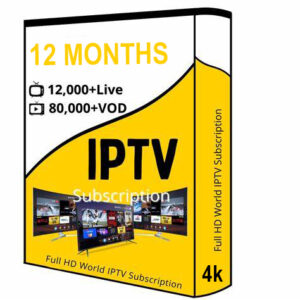 12 months subscription